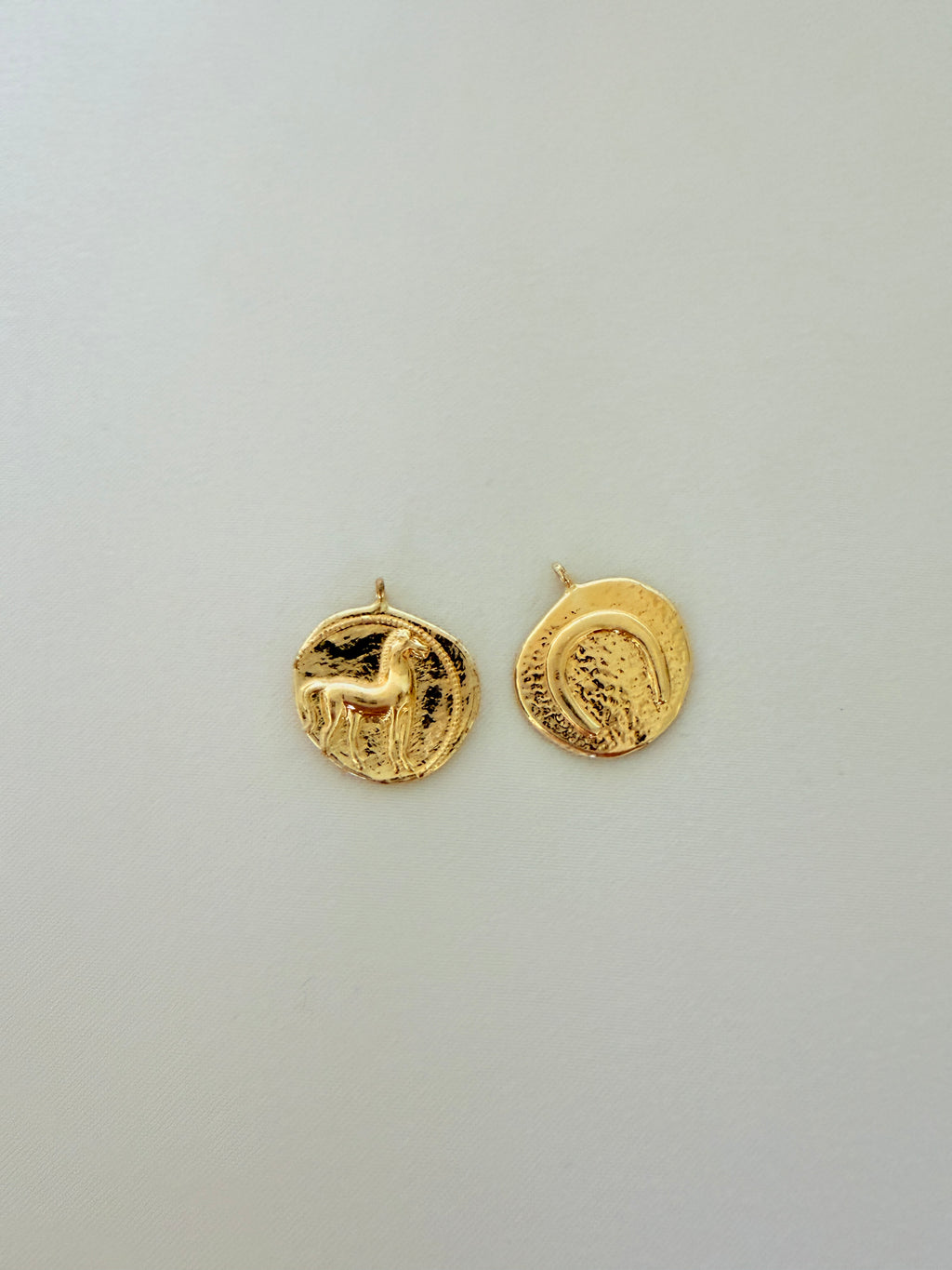Wild and Free Coin