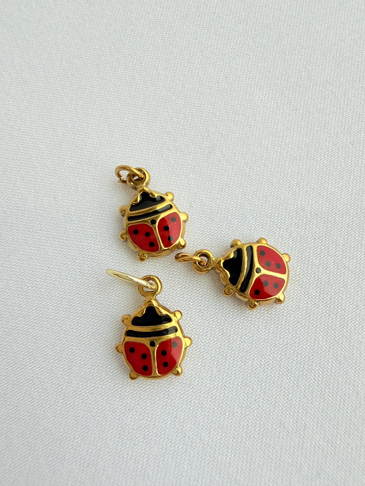 Lady Bug